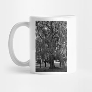 Old Man Willow Weeping Mug